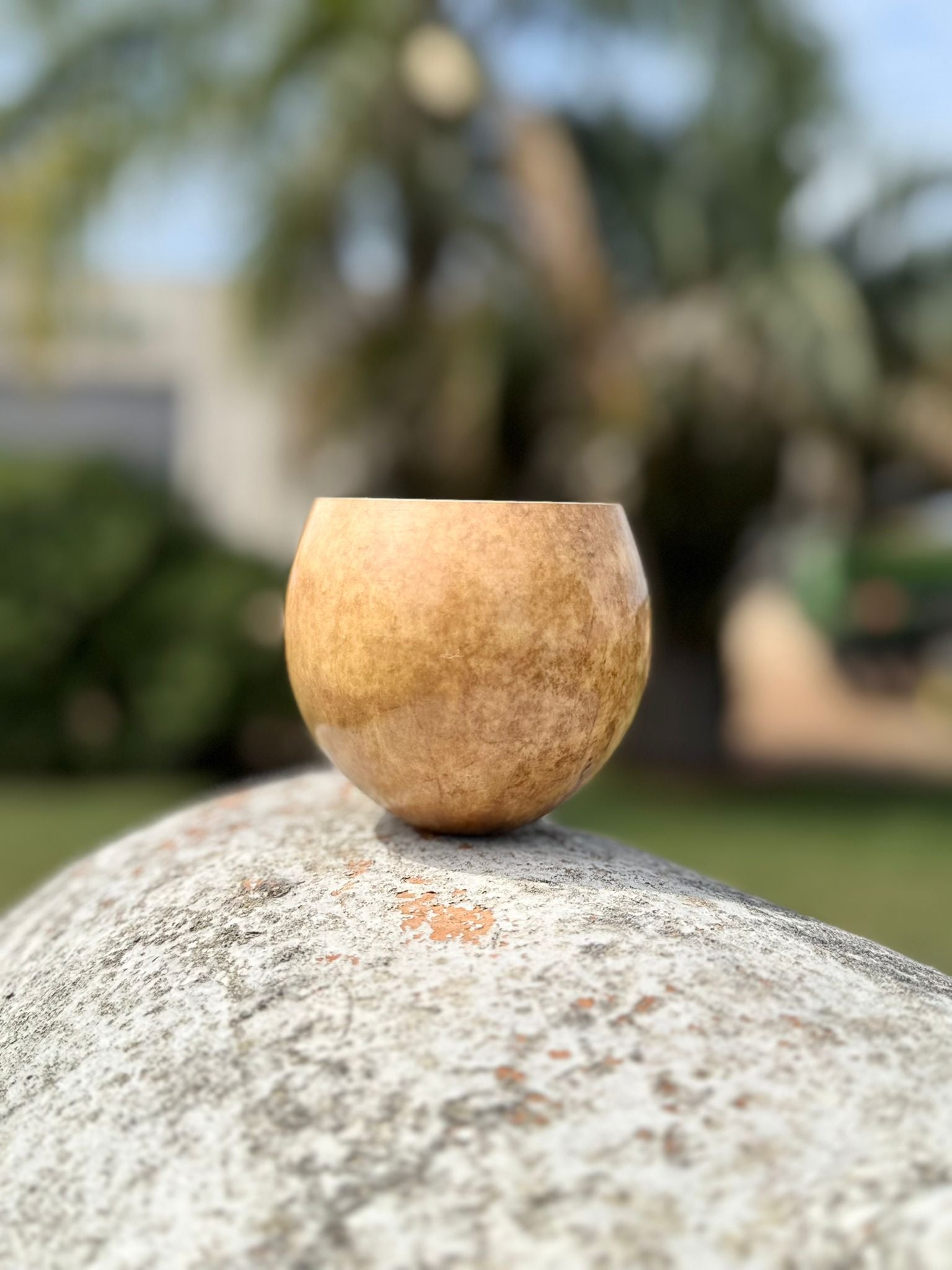 mate torpedo sin boquilla - 490